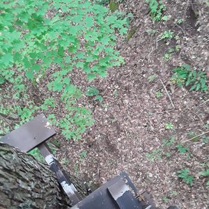 Meet your Posher, Jesse